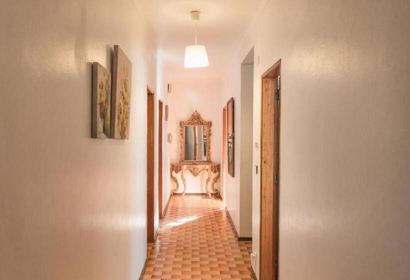 פנסיון Beach Avenue Apartment