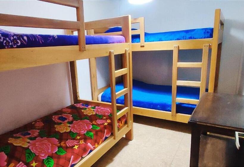 膳宿费 San Pedro Salento Aparta