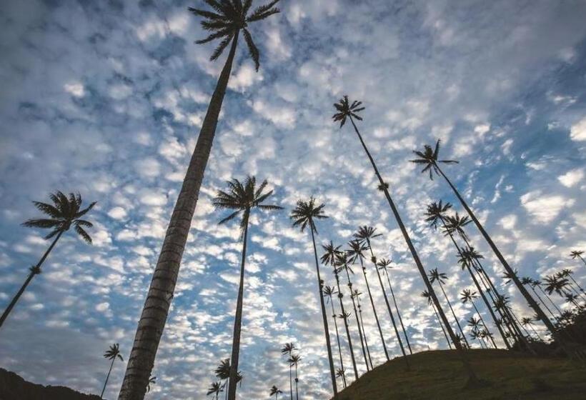 膳宿费 San Pedro Salento Aparta