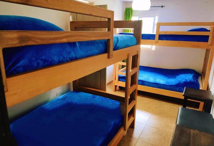 膳宿费 San Pedro Salento Aparta