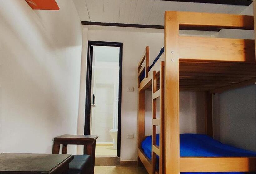 膳宿费 San Pedro Salento Aparta