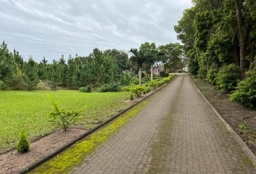 膳宿费 Leading Guest Farm