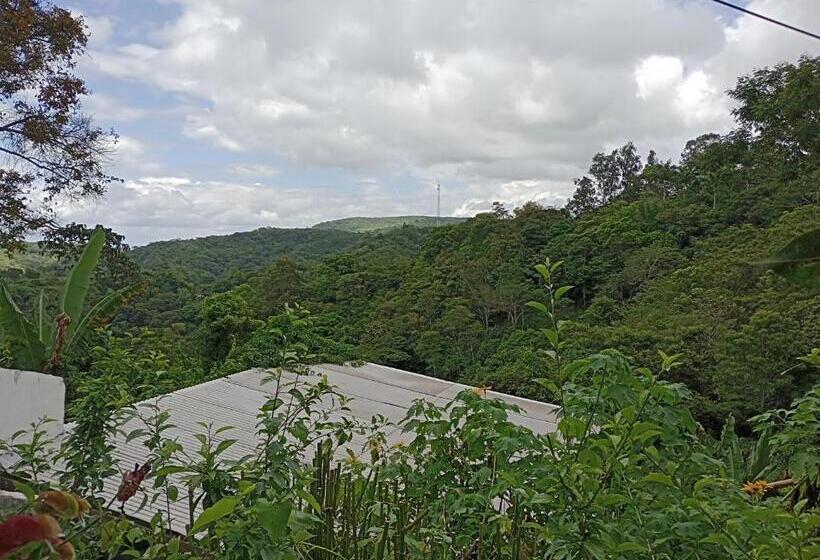 פנסיון Pousada Cantinho Do Dodó