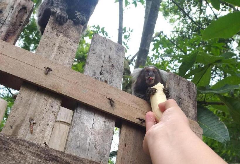 Пансион Pousada Recanto Do Sagui