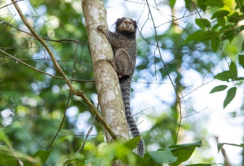 Пансион Pousada Recanto Do Sagui
