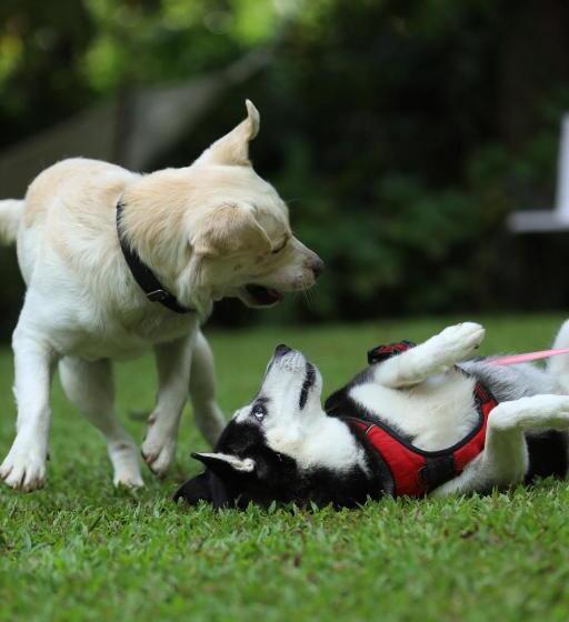 بنسيون Vanilla County Heritage Plantation Bungalow