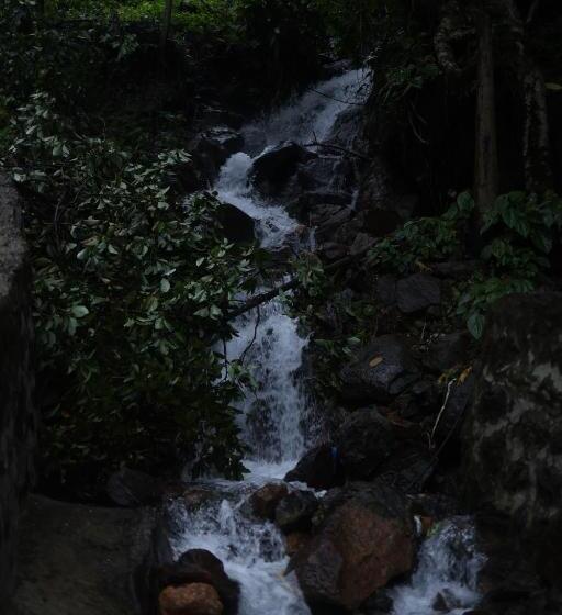 بنسيون Vanilla County Heritage Plantation Bungalow