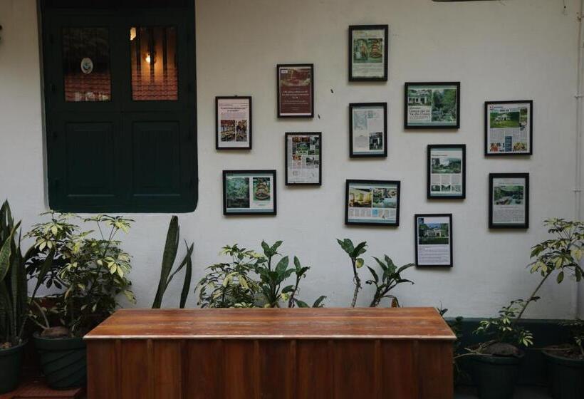 بنسيون Vanilla County Heritage Plantation Bungalow