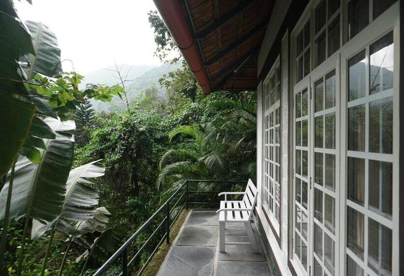 ペンション Vanilla County Heritage Plantation Bungalow