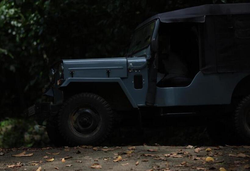 ペンション Vanilla County Heritage Plantation Bungalow