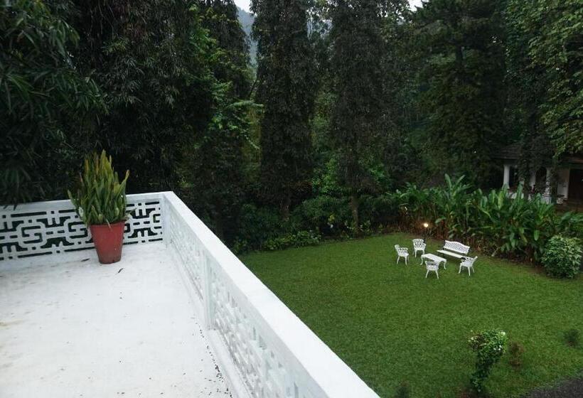 بنسيون Vanilla County Heritage Plantation Bungalow