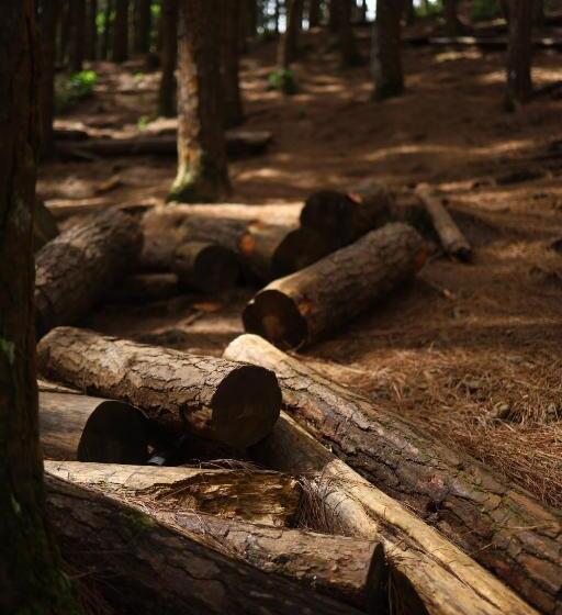 بنسيون Vanilla County Heritage Plantation Bungalow