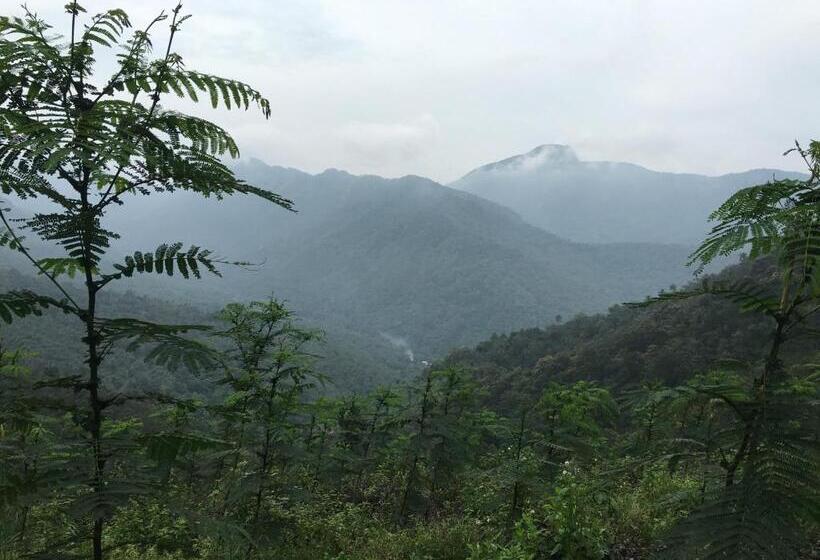 بنسيون Vanilla County Heritage Plantation Bungalow