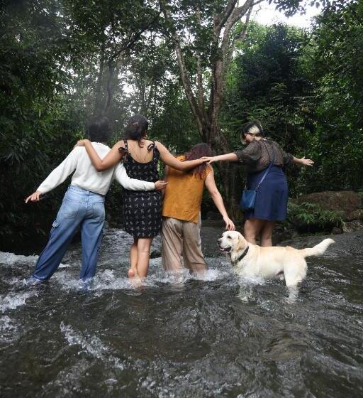 بنسيون Vanilla County Heritage Plantation Bungalow