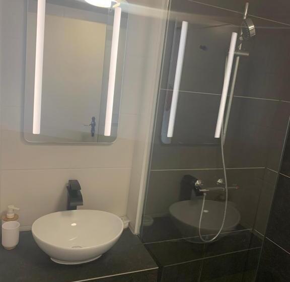 Swiss Hotel Krummen Eich Pratteln Free Parking