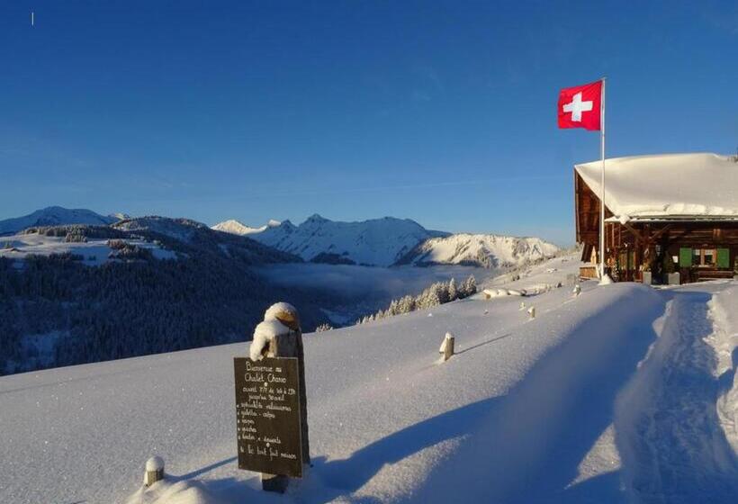 旅馆 Chalet Chanso