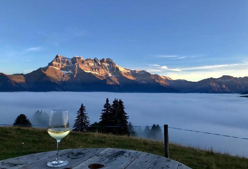 فندق صغير Chalet Chanso