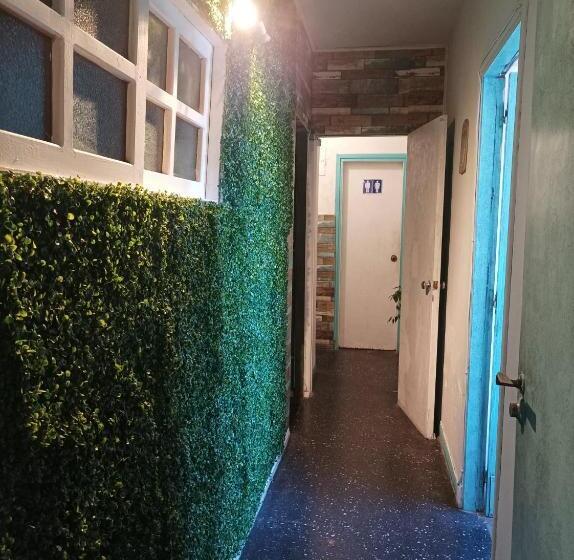 호스텔 El Pelícano Hostal