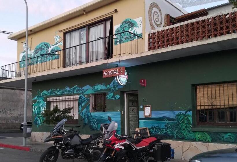 호스텔 El Pelícano Hostal