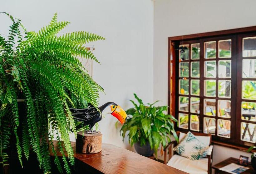 هاستل Tucanos Búzios