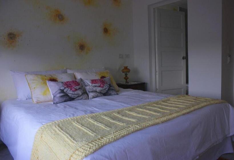 Allegra Dalila Casa Hotel Arte