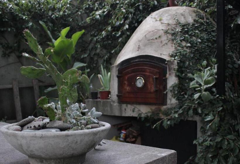 Allegra Dalila Casa Hotel Arte