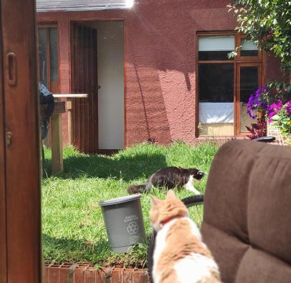 Bed and Breakfast Acogedor Hostal Usaquen La Parada Del Tren