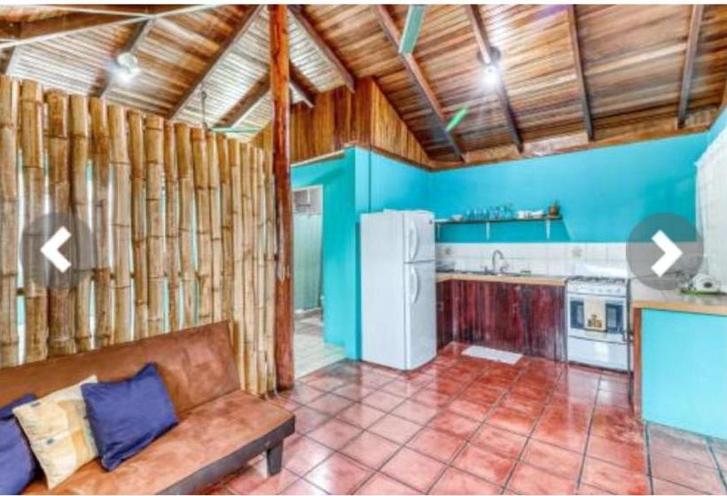 Bed and Breakfast Most Animal Friendly Place On Earth Casa Geraldo