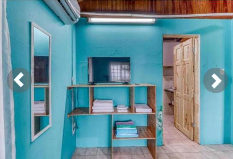 Bed and Breakfast Most Animal Friendly Place On Earth Casa Geraldo