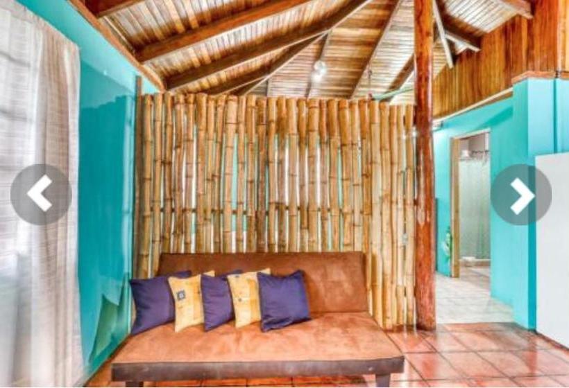 تختخواب و صبحانه Most Animal Friendly Place On Earth Casa Geraldo