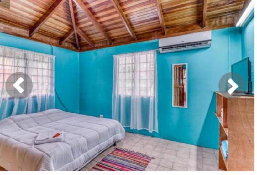 Bed and Breakfast Most Animal Friendly Place On Earth Casa Geraldo