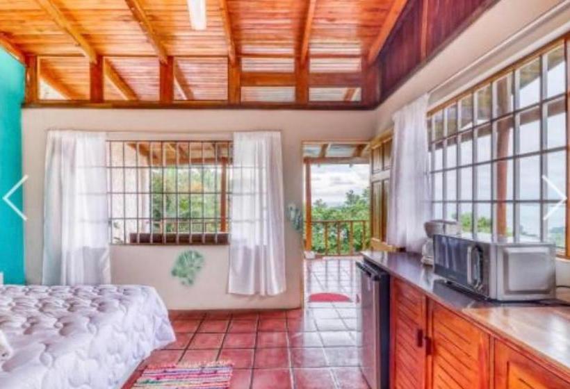 Bed and Breakfast Most Animal Friendly Place On Earth Casa Geraldo