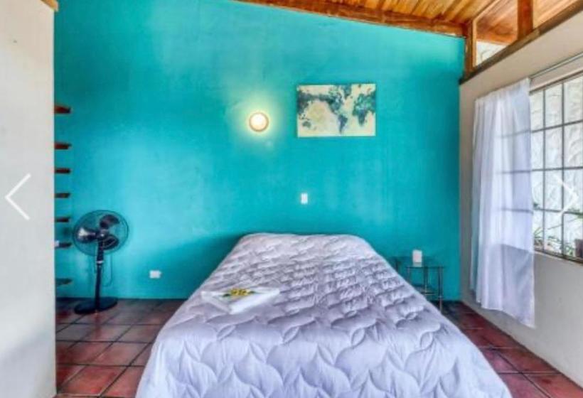 Bed and Breakfast Most Animal Friendly Place On Earth Casa Geraldo