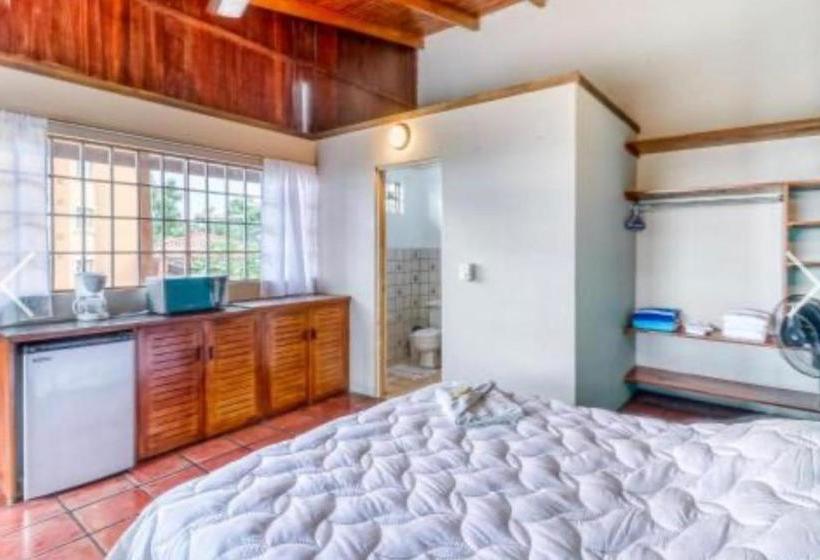 Bed and Breakfast Most Animal Friendly Place On Earth Casa Geraldo