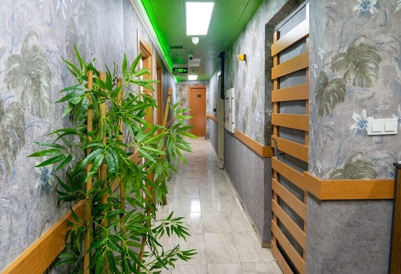 تختخواب و صبحانه Loss