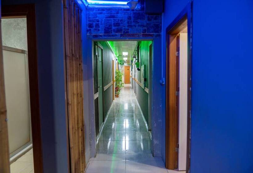 تختخواب و صبحانه Loss