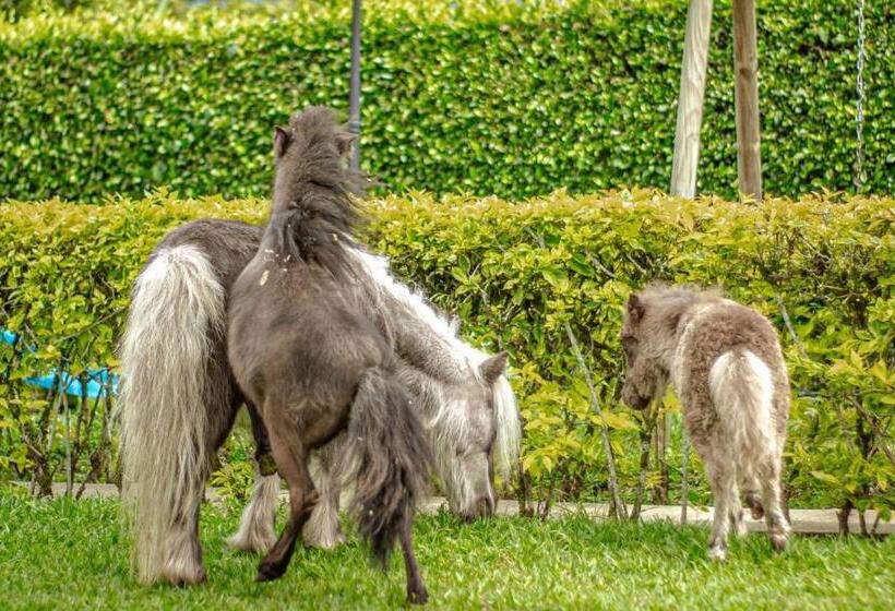 Finca Hotel El Diamante