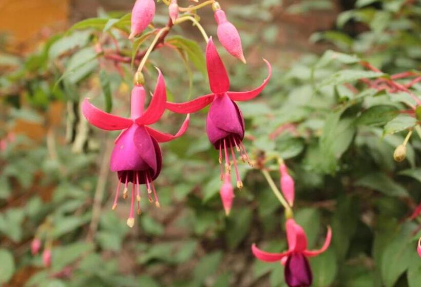 Finca Hotel El Diamante