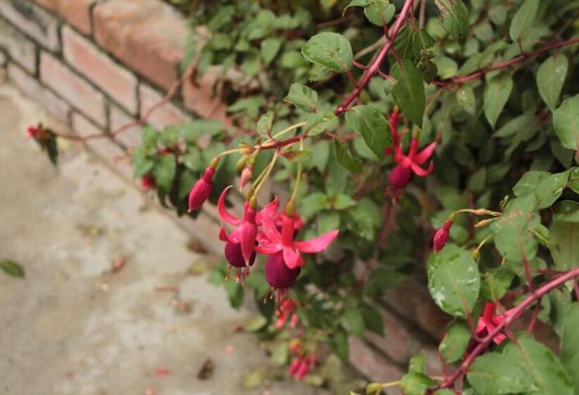 Finca Hotel El Diamante