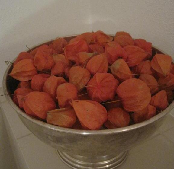 Gästehaus Alter Graben 8