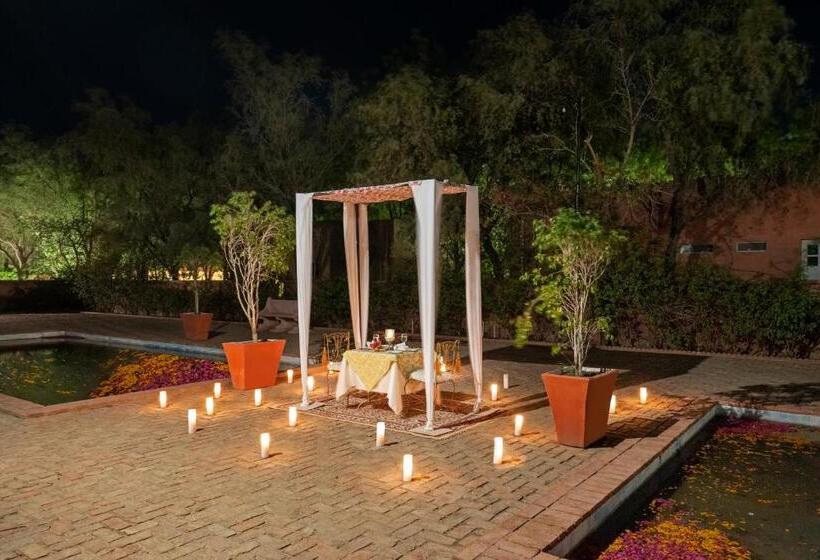 فندق Brij Gaj Kesri, Bikaner   A Boutique Luxury Palace