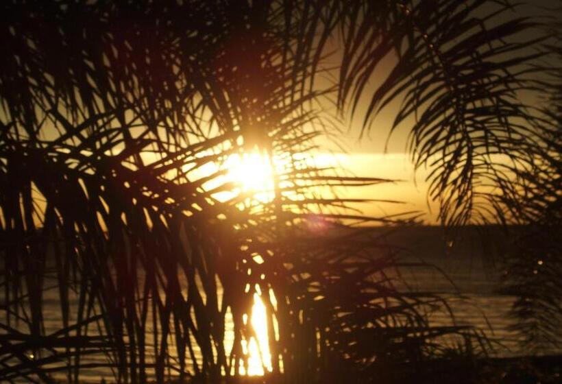 فندق Buena Vista Se Reserva Solo Con Seña