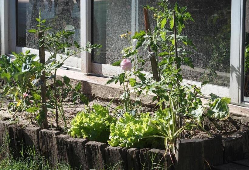 فندق Buena Vista Se Reserva Solo Con Seña