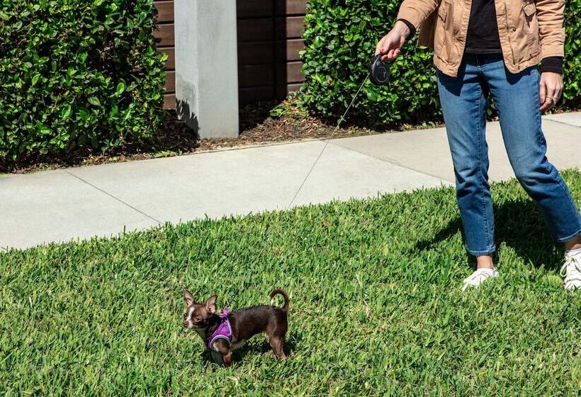 בית מלון כפרי Element By Westin Orlando International Drive