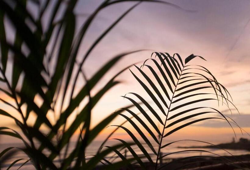 هتل Free Spirit Ecuador, Puerto Engabao