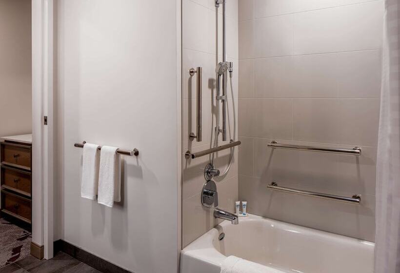 בית מלון כפרי Hyatt Place Tampa Downtown