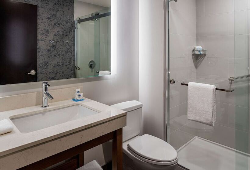 فندق Hyatt Place Tampa Downtown