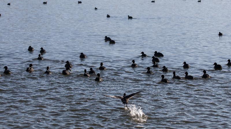 فندق Indigo Diqing Moonlight City, An Ihg