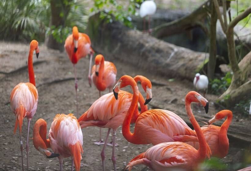 فندق Jw Marriott Tampa Water Street