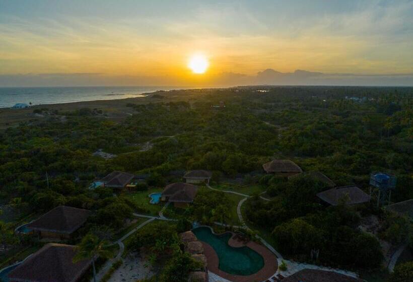 酒店 Kauli Seadi Beach